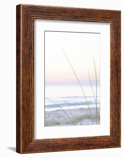 Small Beach Grass-null-Framed Photographic Print