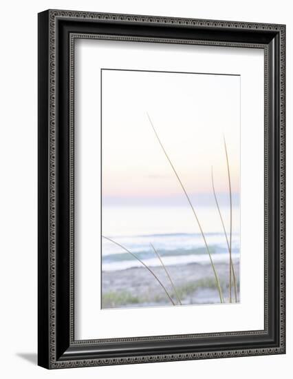 Small Beach Grass-null-Framed Photographic Print