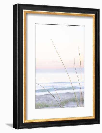 Small Beach Grass-null-Framed Photographic Print