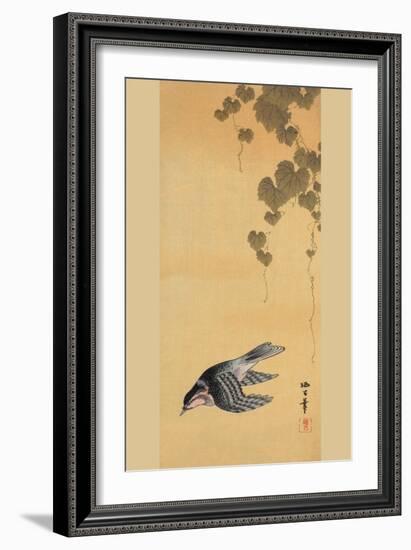 Small Bird and Grapes-null-Framed Art Print