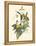 Small Bird of the Tropics IV-John Gould-Framed Stretched Canvas