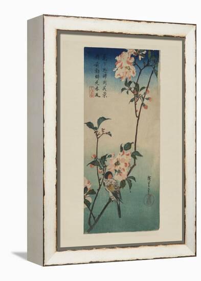 Small Bird on a Branch of Kaidozakura (Kaido Ni Shokin)-Ando Hiroshige-Framed Stretched Canvas