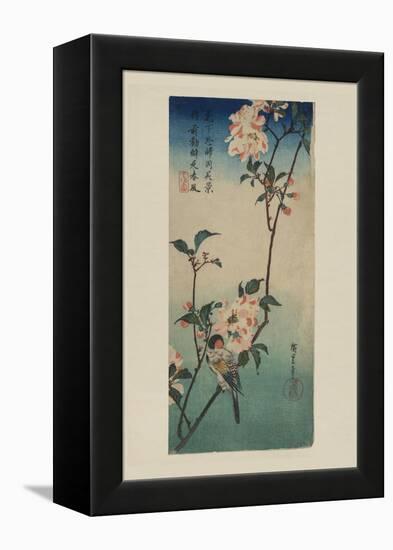 Small Bird on a Branch of Kaidozakura (Kaido Ni Shokin)-Ando Hiroshige-Framed Stretched Canvas