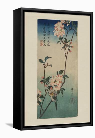 Small Bird on a Branch of Kaidozakura (Kaido Ni Shokin)-Ando Hiroshige-Framed Stretched Canvas