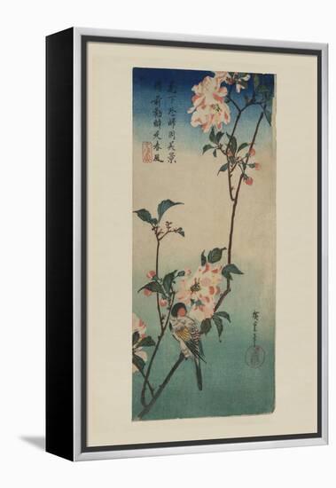 Small Bird on a Branch of Kaidozakura (Kaido Ni Shokin)-Ando Hiroshige-Framed Stretched Canvas