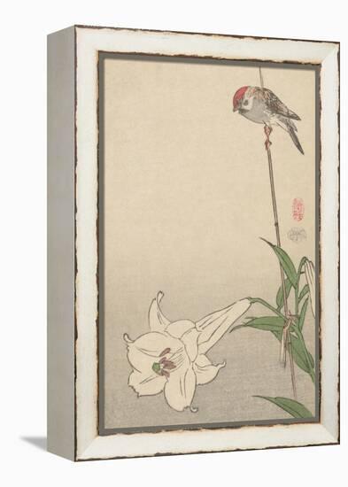 Small Bird on Lily Plant.-Baison-Framed Stretched Canvas