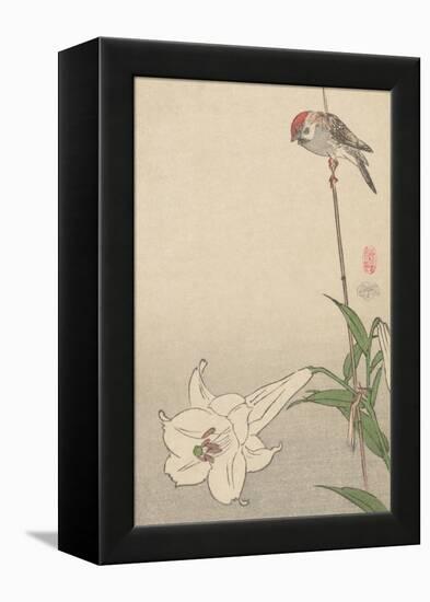 Small Bird on Lily Plant.-Baison-Framed Stretched Canvas
