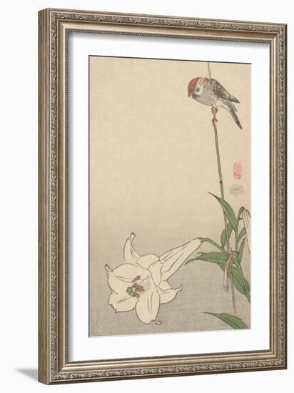 Small Bird on Lily Plant.-Baison-Framed Art Print