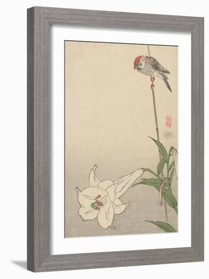 Small Bird on Lily Plant.-Baison-Framed Art Print