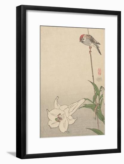 Small Bird on Lily Plant.-Baison-Framed Art Print