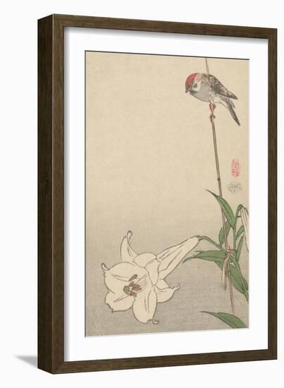 Small Bird on Lily Plant.-Baison-Framed Art Print