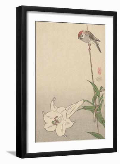 Small Bird on Lily Plant.-Baison-Framed Art Print