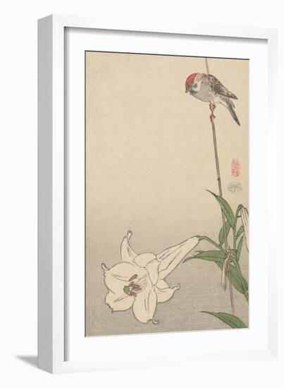 Small Bird on Lily Plant.-Baison-Framed Art Print