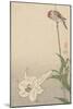 Small Bird on Lily Plant.-Baison-Mounted Art Print