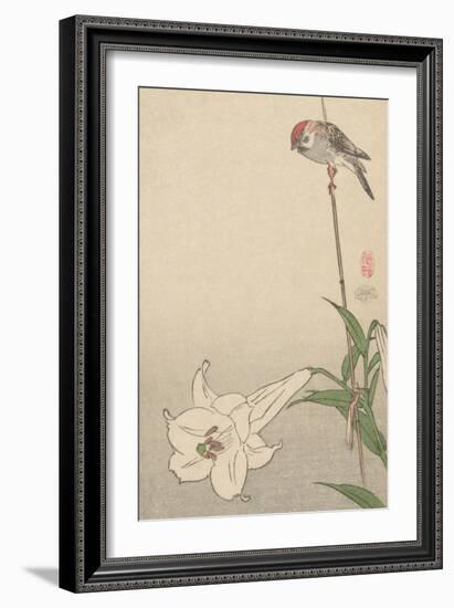 Small Bird on Lily Plant.-Baison-Framed Art Print