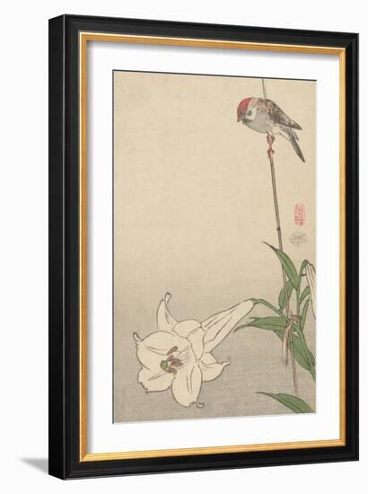 Small Bird on Lily Plant.-Baison-Framed Art Print