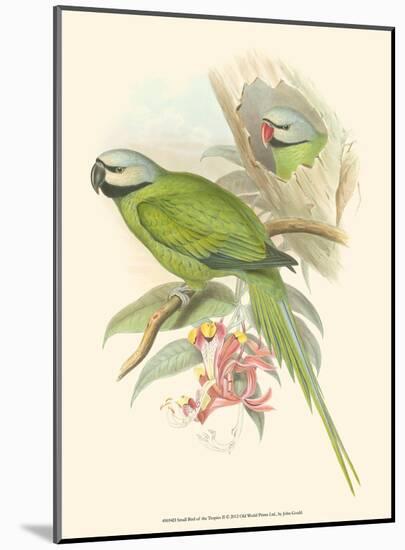 Small Birds of Tropics II-John Gould-Mounted Art Print