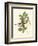 Small Birds of Tropics III-John Gould-Framed Art Print