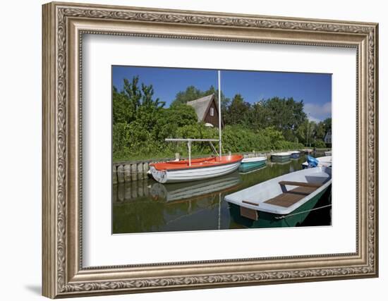 Small Boat Harbour in the Reed of the Saaler Bodden in Born on the Darss Peninsula-Uwe Steffens-Framed Photographic Print