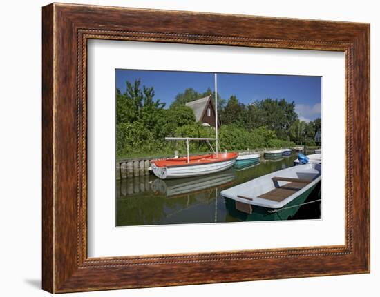 Small Boat Harbour in the Reed of the Saaler Bodden in Born on the Darss Peninsula-Uwe Steffens-Framed Photographic Print