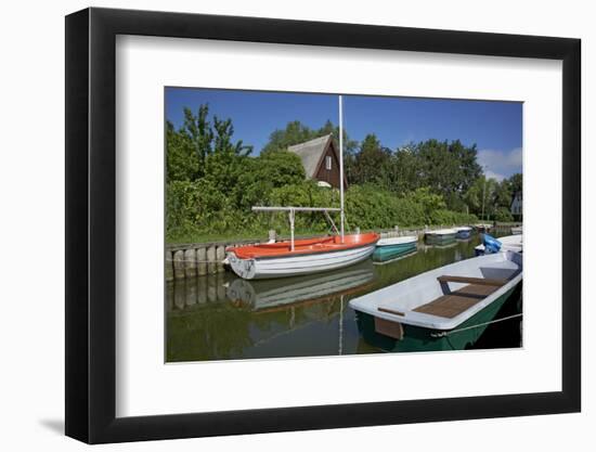 Small Boat Harbour in the Reed of the Saaler Bodden in Born on the Darss Peninsula-Uwe Steffens-Framed Photographic Print