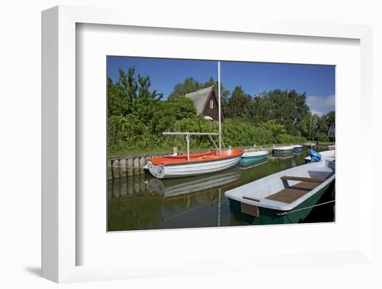 Small Boat Harbour in the Reed of the Saaler Bodden in Born on the Darss Peninsula-Uwe Steffens-Framed Photographic Print