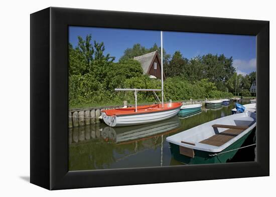 Small Boat Harbour in the Reed of the Saaler Bodden in Born on the Darss Peninsula-Uwe Steffens-Framed Premier Image Canvas