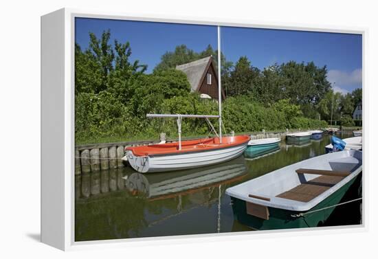 Small Boat Harbour in the Reed of the Saaler Bodden in Born on the Darss Peninsula-Uwe Steffens-Framed Premier Image Canvas