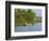 Small Boat on the Backwaters, Allepey, Kerala, India, Asia-Tuul-Framed Photographic Print