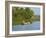 Small Boat on the Backwaters, Allepey, Kerala, India, Asia-Tuul-Framed Photographic Print