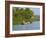 Small Boat on the Backwaters, Allepey, Kerala, India, Asia-Tuul-Framed Photographic Print