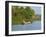 Small Boat on the Backwaters, Allepey, Kerala, India, Asia-Tuul-Framed Photographic Print