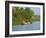 Small Boat on the Backwaters, Allepey, Kerala, India, Asia-Tuul-Framed Photographic Print