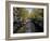 Small Boat on Tree-Lined Oudezijds Achtenburg Wal Canal in the Autumn, Amsterdam, the Netherlands-Richard Nebesky-Framed Photographic Print