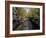 Small Boat on Tree-Lined Oudezijds Achtenburg Wal Canal in the Autumn, Amsterdam, the Netherlands-Richard Nebesky-Framed Photographic Print