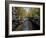 Small Boat on Tree-Lined Oudezijds Achtenburg Wal Canal in the Autumn, Amsterdam, the Netherlands-Richard Nebesky-Framed Photographic Print