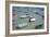 Small Boats in the Sea in Spain-Felipe Rodriguez-Framed Photographic Print