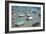 Small Boats in the Sea in Spain-Felipe Rodriguez-Framed Photographic Print