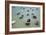 Small Boats in the Sea in Spain-Felipe Rodriguez-Framed Photographic Print