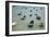 Small Boats in the Sea in Spain-Felipe Rodriguez-Framed Photographic Print