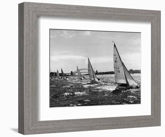 Small Boats Sailing on Sydney Harbor-Bettmann-Framed Premium Photographic Print