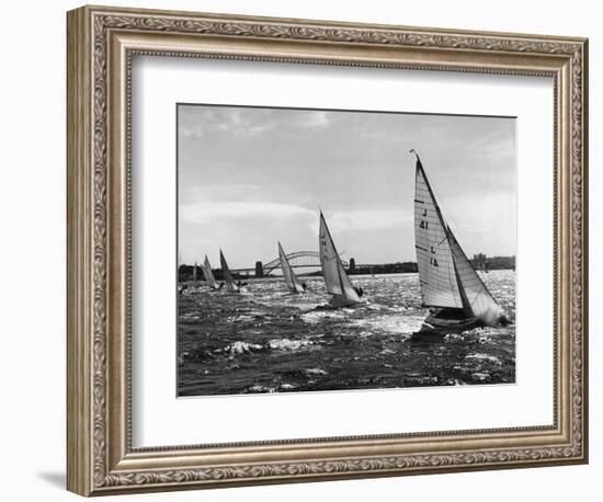 Small Boats Sailing on Sydney Harbor-Bettmann-Framed Photographic Print