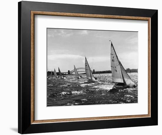 Small Boats Sailing on Sydney Harbor-Bettmann-Framed Photographic Print