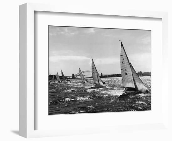 Small Boats Sailing on Sydney Harbor-Bettmann-Framed Photographic Print