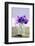 Small Bouquet with Cornflowers and Vetch on Green Silk-Brigitte Protzel-Framed Photographic Print