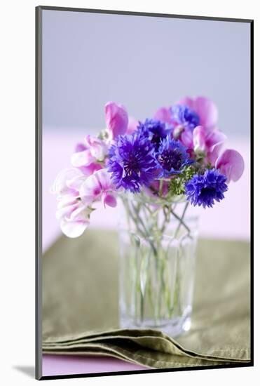 Small Bouquet with Cornflowers and Vetch on Green Silk-Brigitte Protzel-Mounted Photographic Print