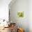 Small Bowl of Fruit I-Ethan Harper-Art Print displayed on a wall