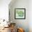 Small Bowl of Fruit II-Ethan Harper-Framed Art Print displayed on a wall