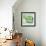 Small Bowl of Fruit II-Ethan Harper-Framed Art Print displayed on a wall