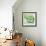 Small Bowl of Fruit II-Ethan Harper-Framed Art Print displayed on a wall